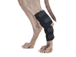 Sprunggelenkschoner mit 4 klettverschlüssen/ pro Paar