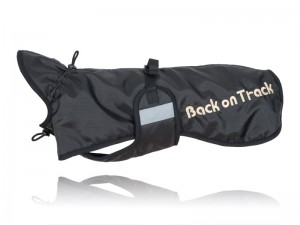 Standardmantel Dackel