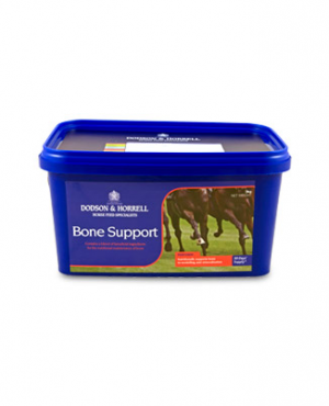 Bone Support
