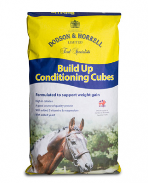 Build Up Conditioning Cubes