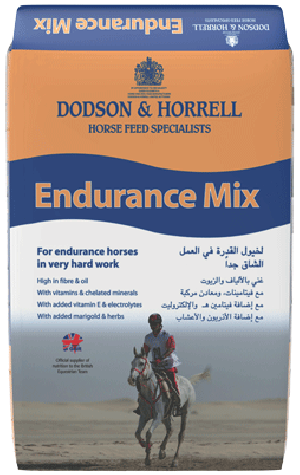 Endurance Mix