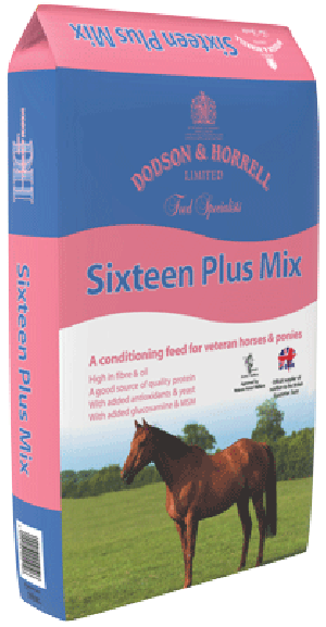 Sixteen Plus Mix