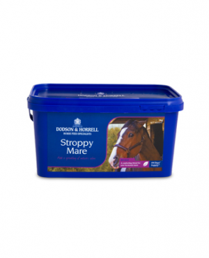 Stroppy Mare-Gelding